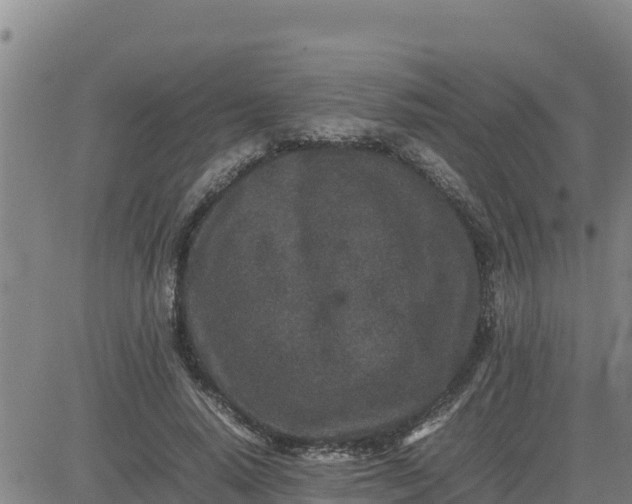 X0000080680640200612301426