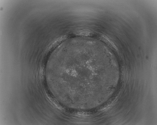 X0000080680641200612301426