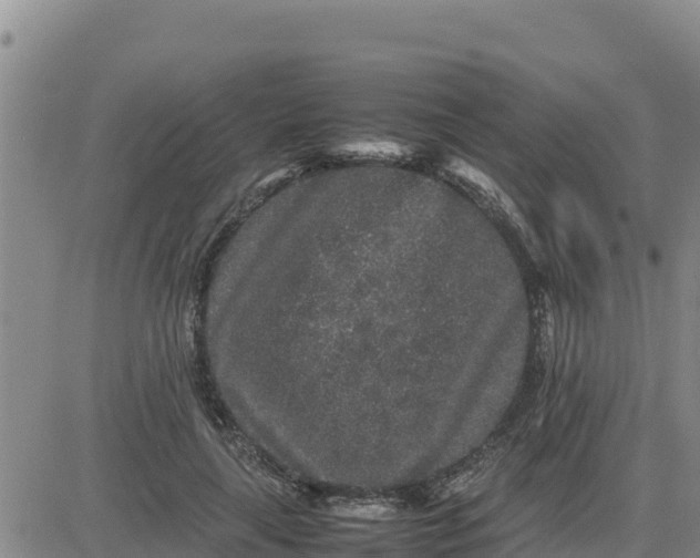 X0000080680643200612301426