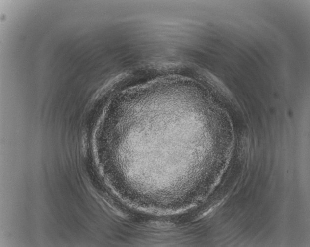 X0000080680644200612301426