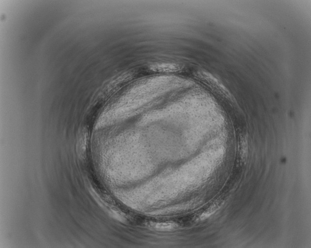 X0000080680645200612301426