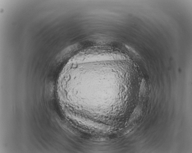 X0000080680646200612301426