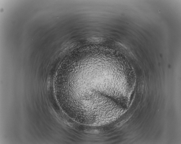 X0000080680647200612301426