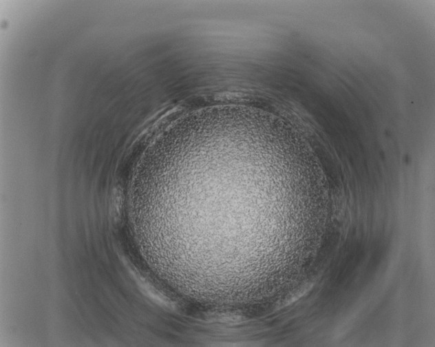 X0000080680648200612301426