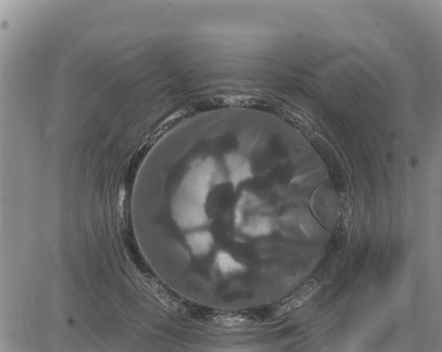 X0000080680650200612301426