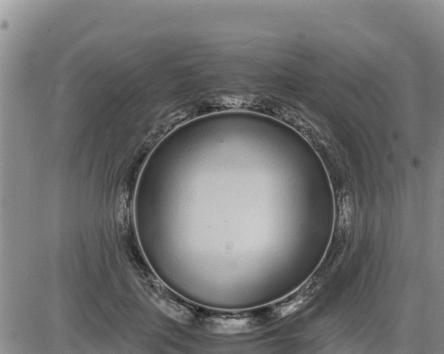 X0000080680651200612301426