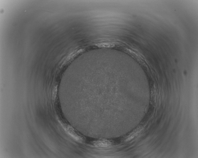 X0000080680652200612301426