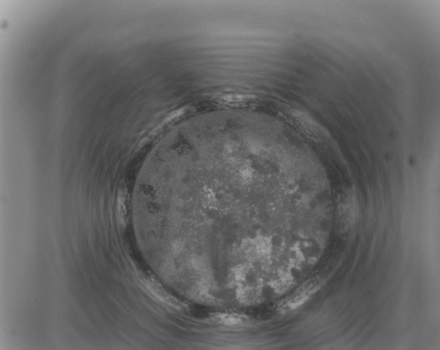 X0000080680654200612301426