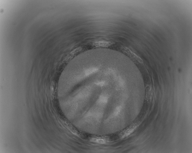 X0000080680655200612301426