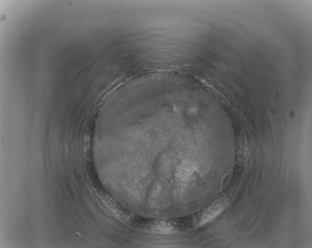 X0000080680656200612301426