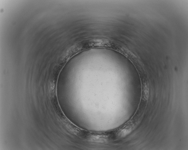 X0000080680657200612301426