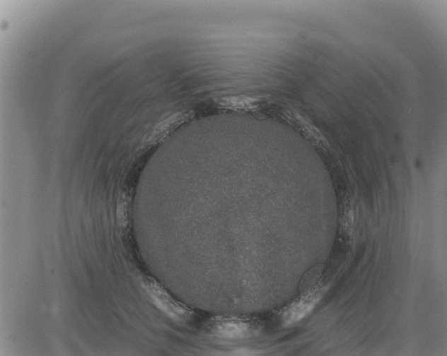 X0000080680658200612301426