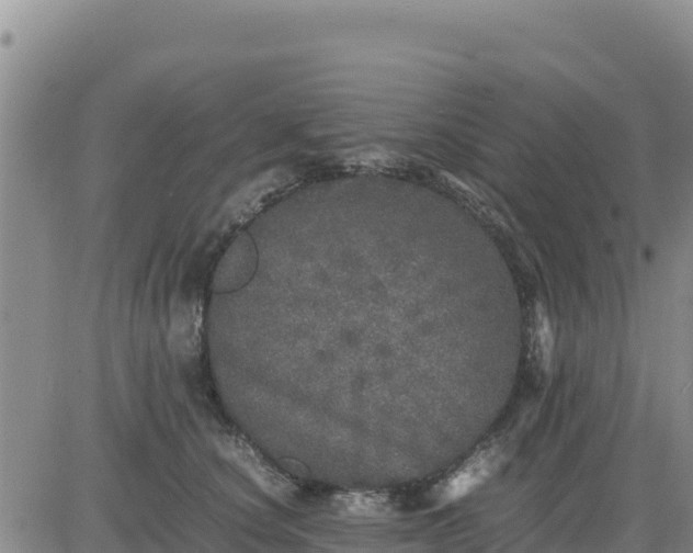 X0000080680660200612301426