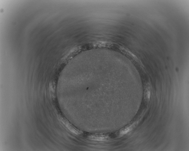 X0000080680661200612301426