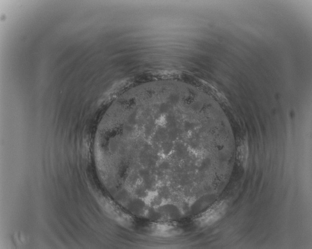 X0000080680662200612301426