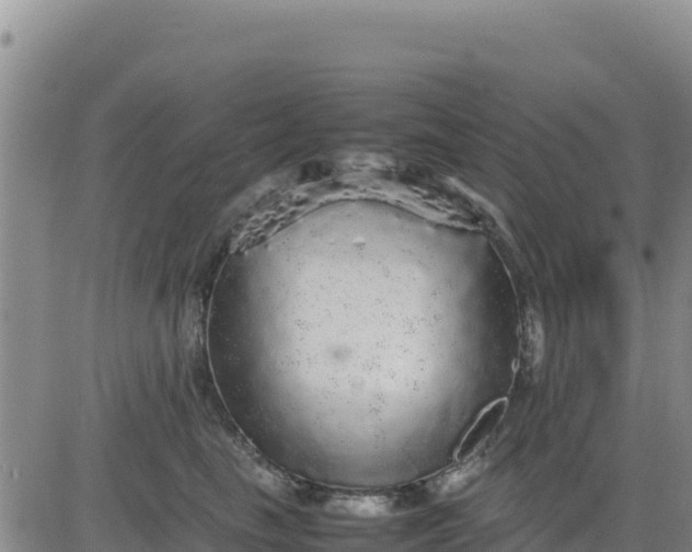 X0000080680665200612301426