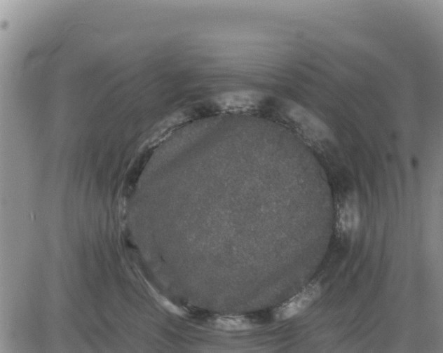 X0000080680666200612301426