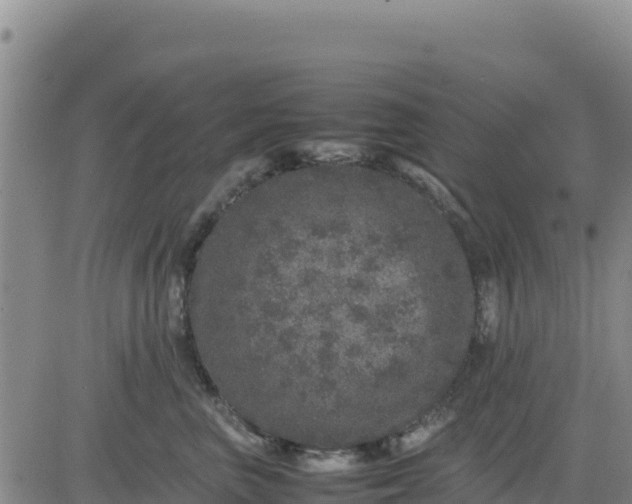 X0000080680667200612301426