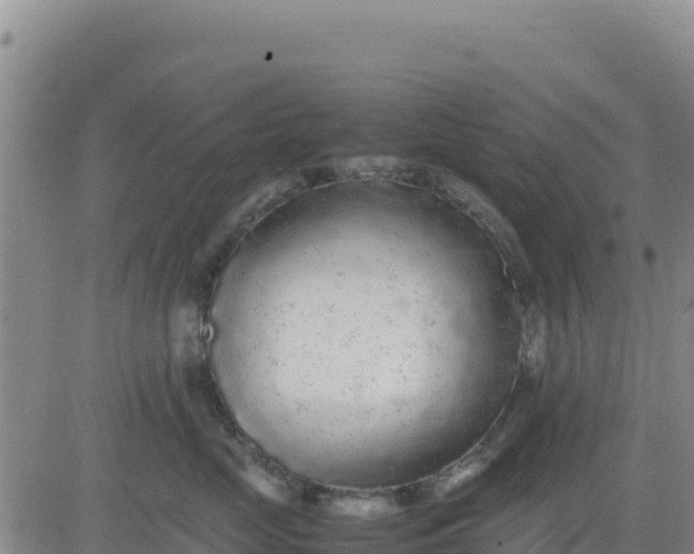 X0000080680669200612301426