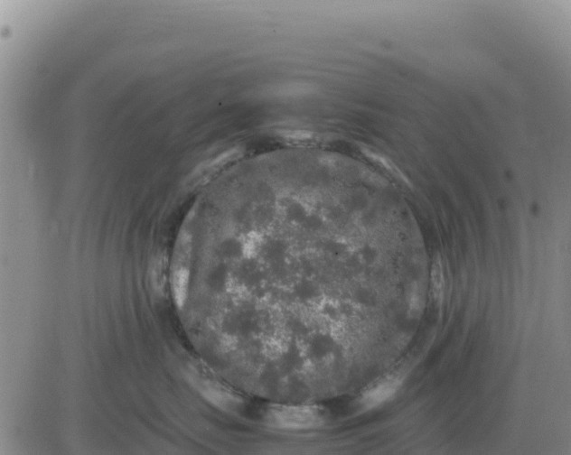 X0000080680671200612301426