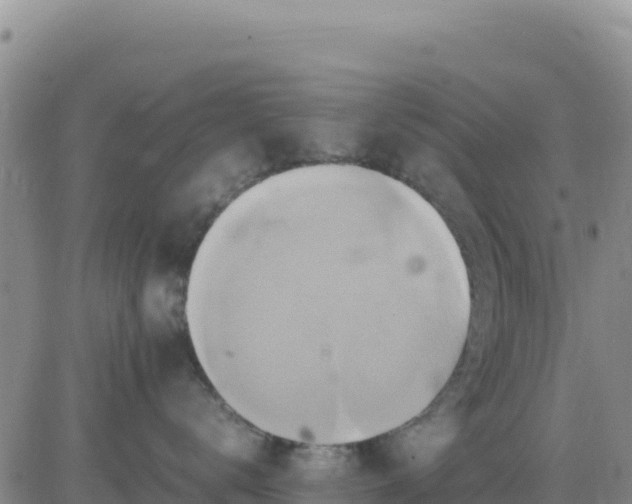 X0000080680672200612301426