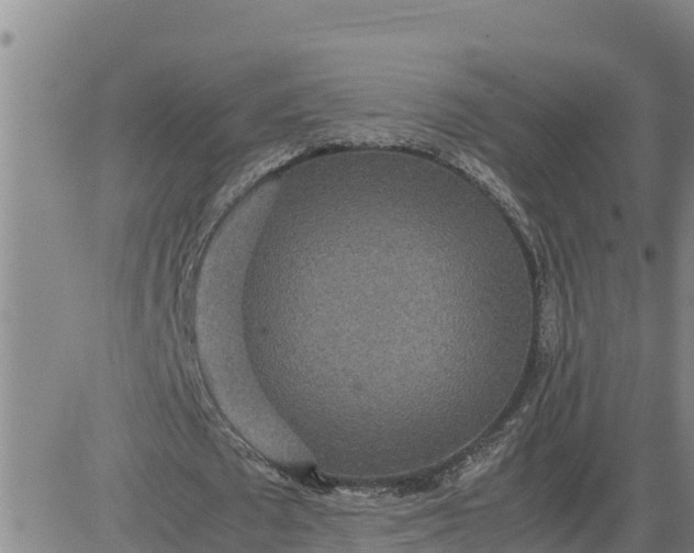 X0000080680673200612301425