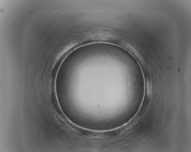 X0000080680675200612301425