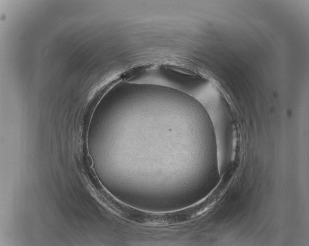 X0000080680677200612301425