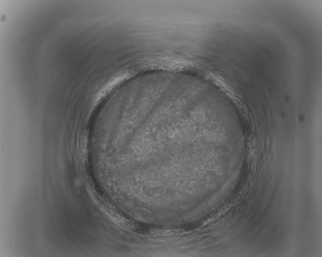 X0000080680679200612301425