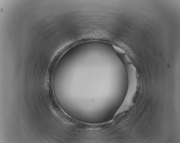 X0000080680680200612301425