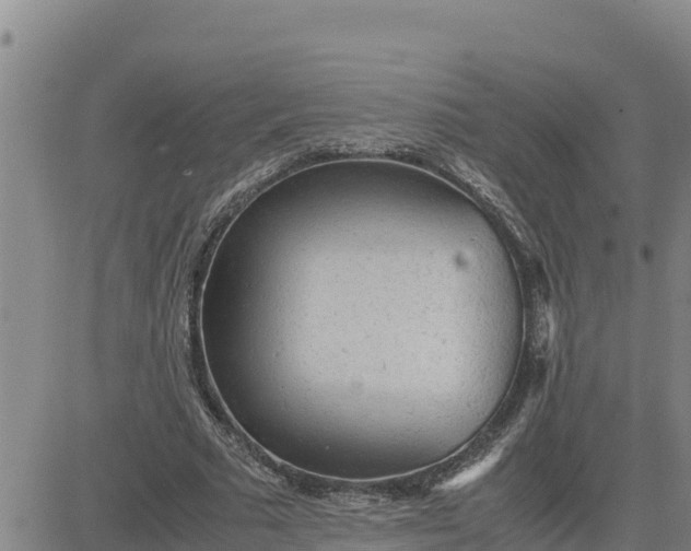 X0000080680681200612301425