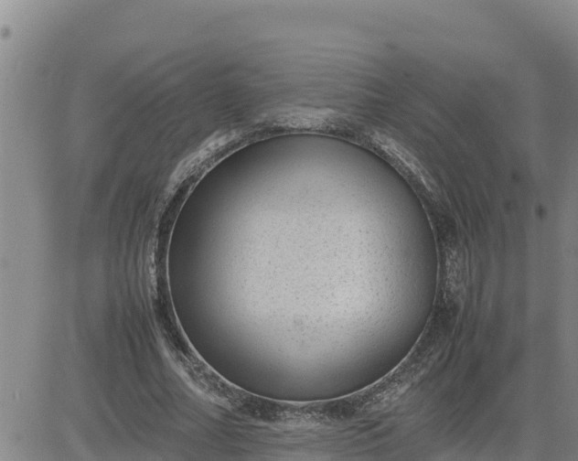 X0000080680682200612301425