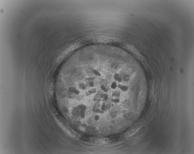 X0000080680683200612301425