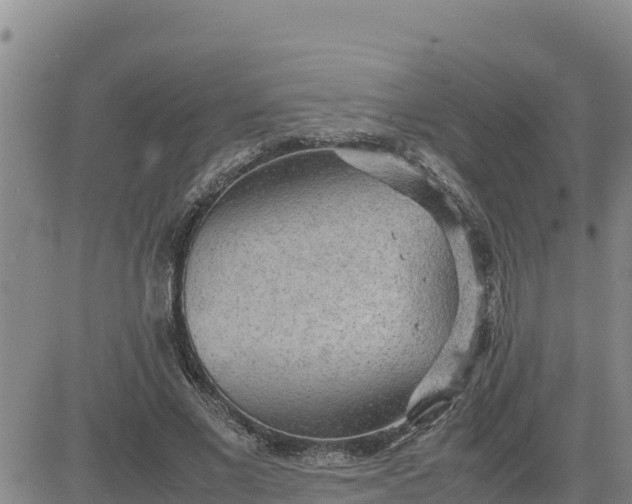 X0000080680685200612301425