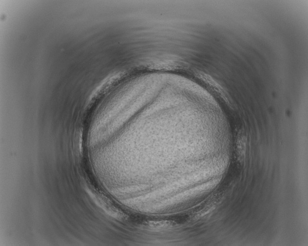 X0000080680686200612301425