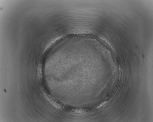 X0000080680688200612301425