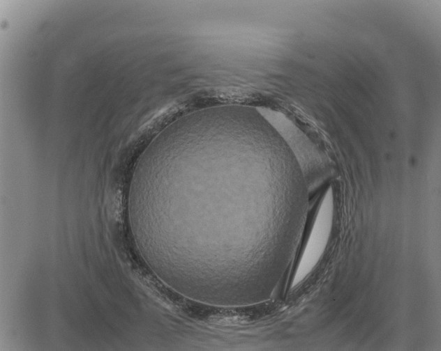 X0000080680689200612301425