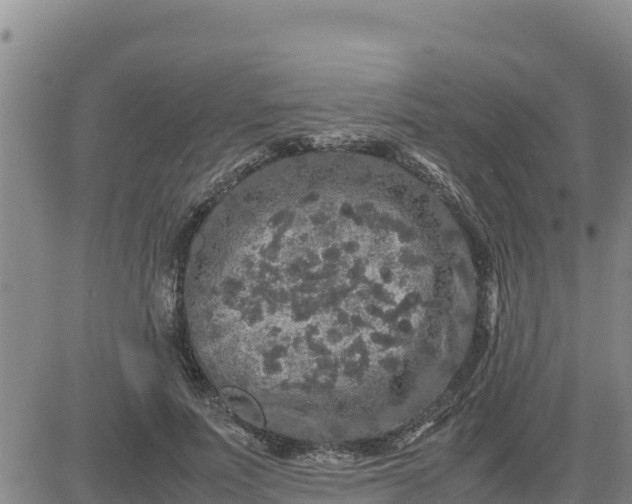 X0000080680691200612301425