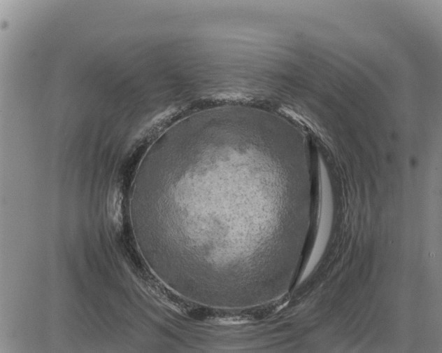 X0000080680692200612301425