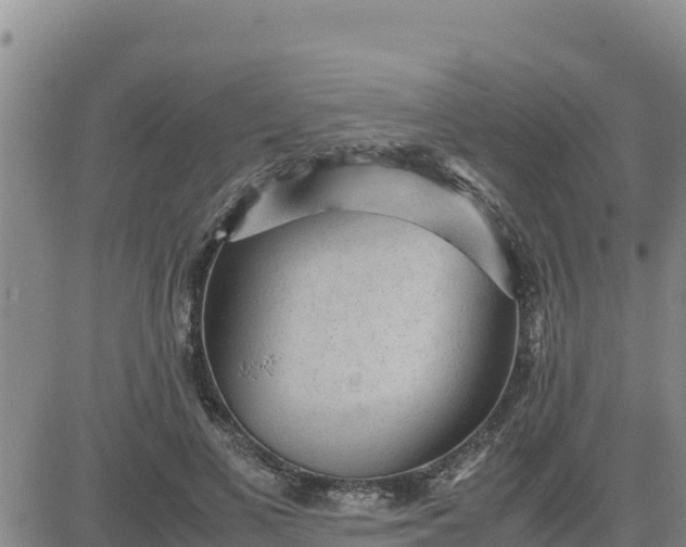 X0000080680693200612301425