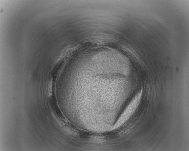 X0000080680694200612301425