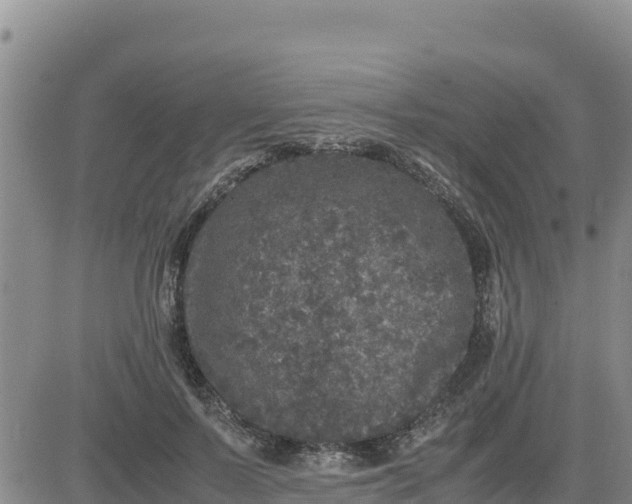 X0000080680695200612301425