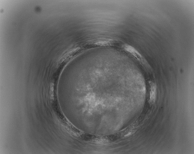 X0000080680696200612301425