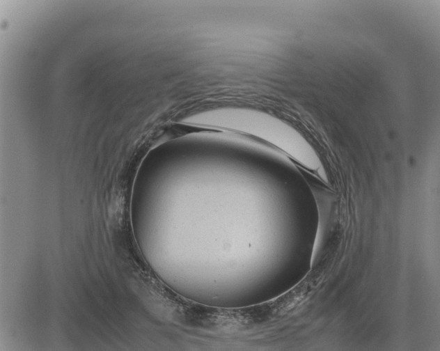 X0000080680697200612301425