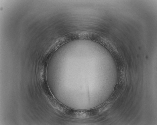 X0000080680698200612301425