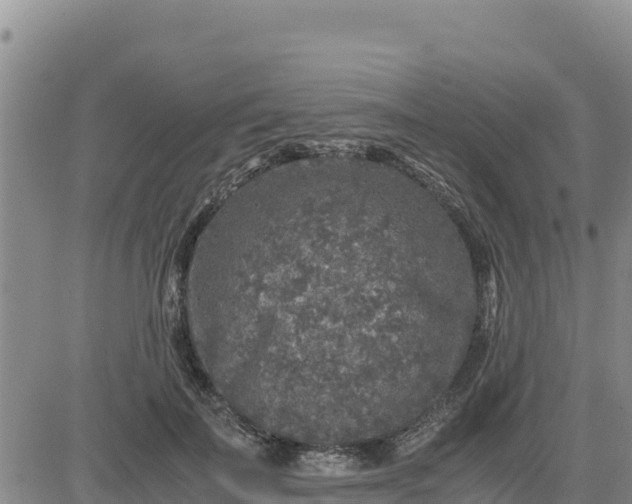 X0000080680699200612301425