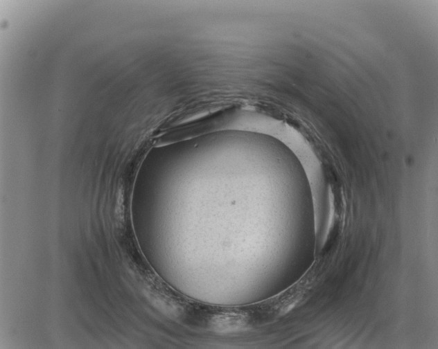 X0000080680700200612301425