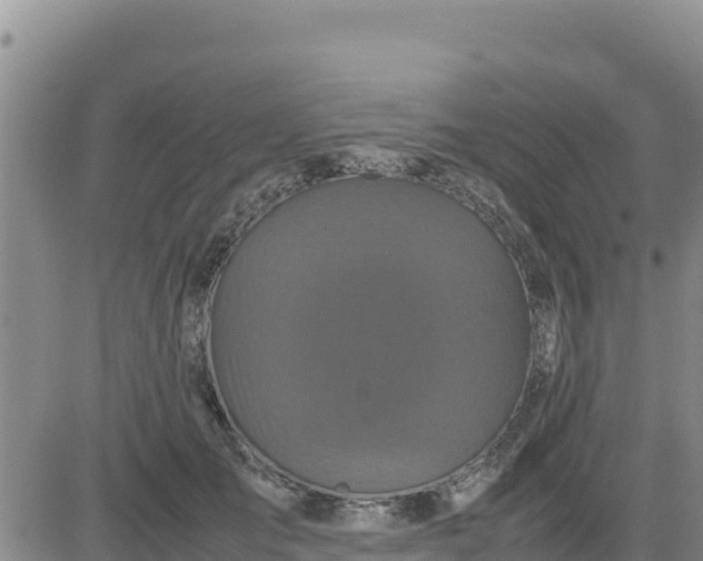 X0000080680701200612301425