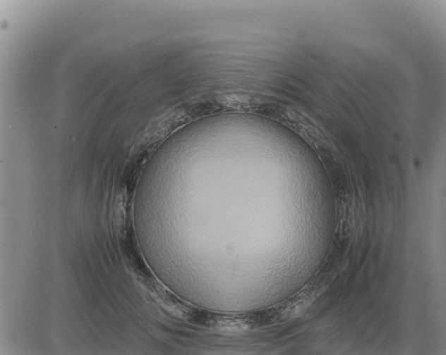 X0000080680702200612301425