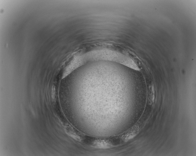 X0000080680704200612301425